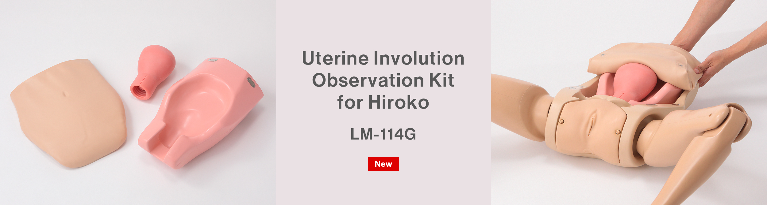 Uterine Involution Observation Kit for Hiroko LM-114G